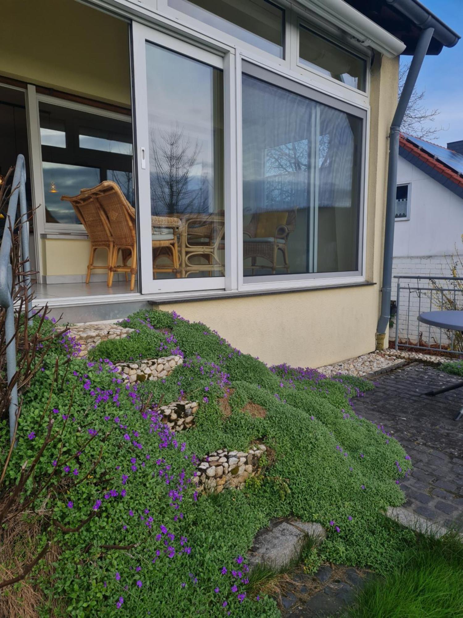 Ferienwohnung Im Rurtal Kreuzau Екстер'єр фото