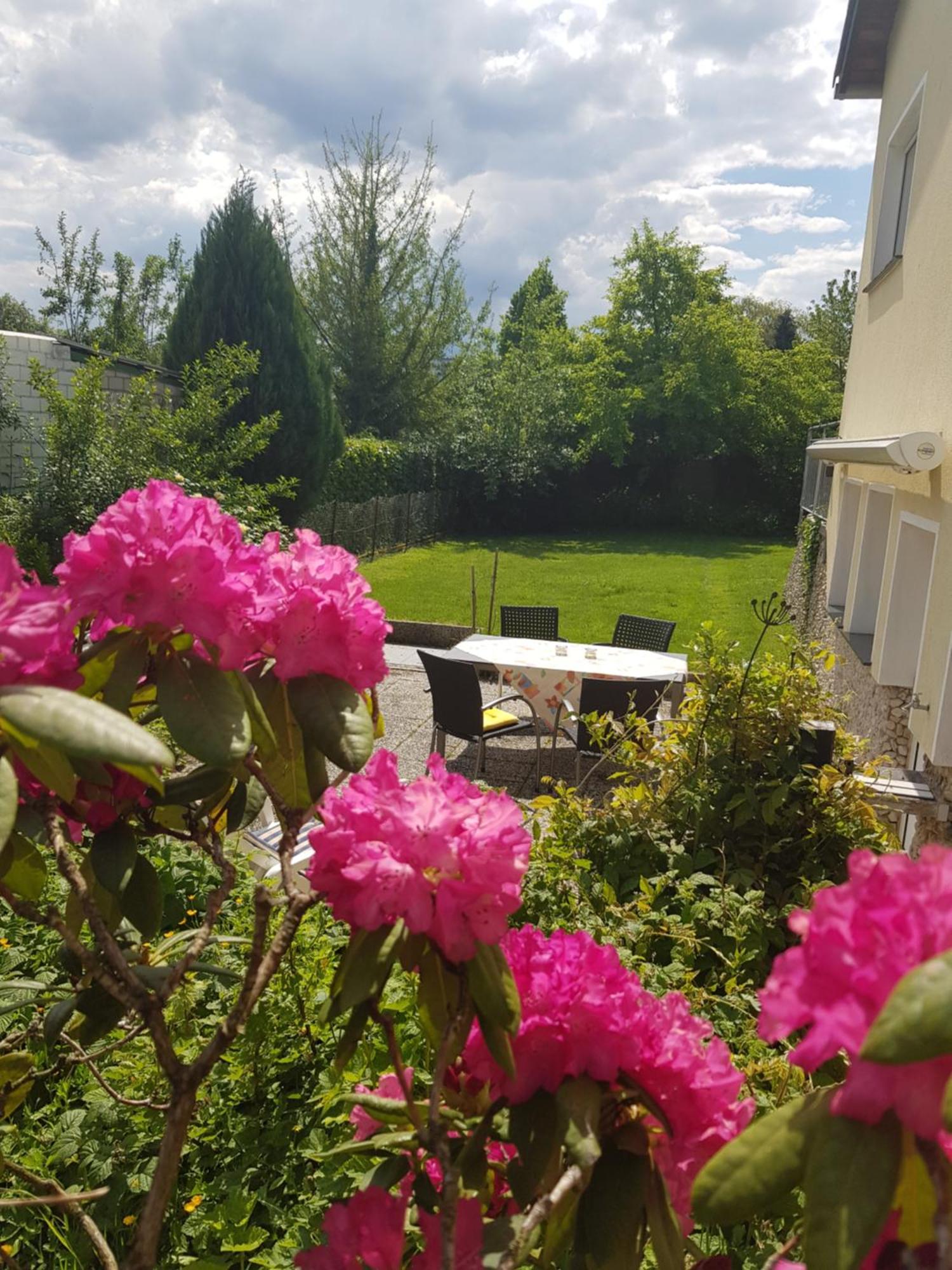 Ferienwohnung Im Rurtal Kreuzau Екстер'єр фото